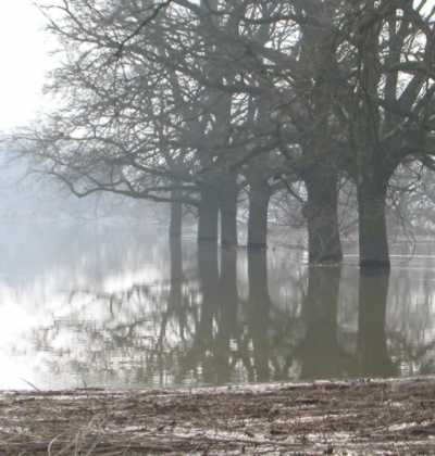 Frühjahrshochwasser in Roßlau